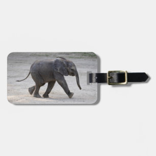 Etiqueta De Bagagem Sweet Baby Elephant Kibali