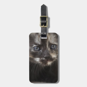 Etiqueta De Bagagem Sweet Shy TortoisesInferno Baby
