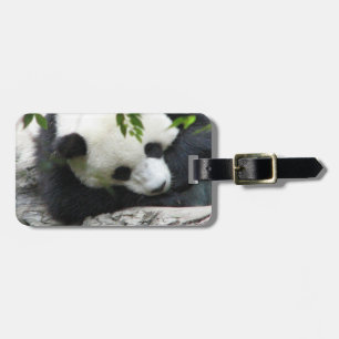 Etiqueta De Bagagem Tag bonito da bagagem da panda