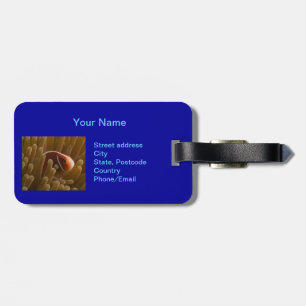 Etiqueta De Bagagem Tag bonito da bagagem de Clownfish