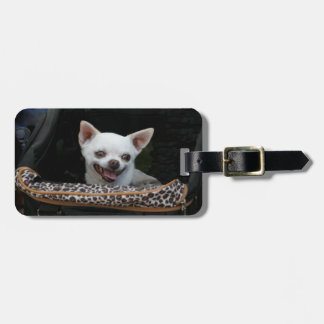 Etiqueta De Bagagem Tag branco da bagagem da chihuahua