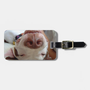 Etiqueta De Bagagem Tag customizável da bagagem do cão feliz feliz