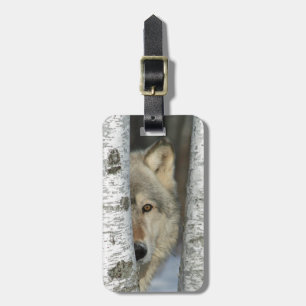 Etiqueta De Bagagem Tag da bagagem com a foto do lobo cinzento em