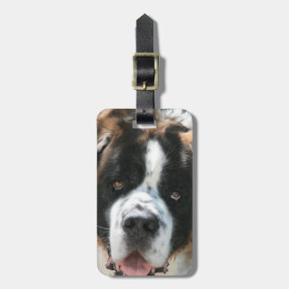Etiqueta De Bagagem Tag da bagagem de St Bernard
