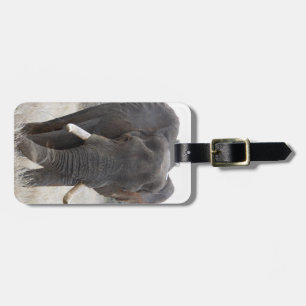 Etiqueta De Bagagem Tag da bagagem do elefante