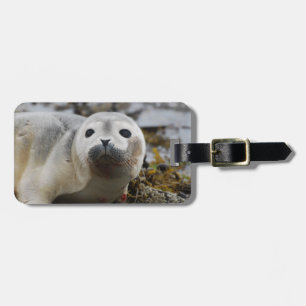 Etiqueta De Bagagem Tag da bagagem do filhote de cachorro de selo