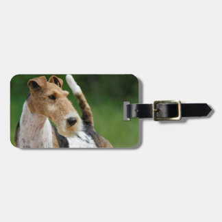 Etiqueta De Bagagem Tag da bagagem do Fox Terrier do fio