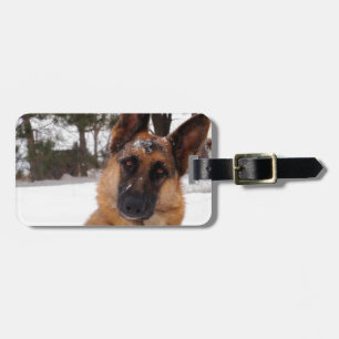 Etiqueta De Bagagem Tag da bagagem do german shepherd