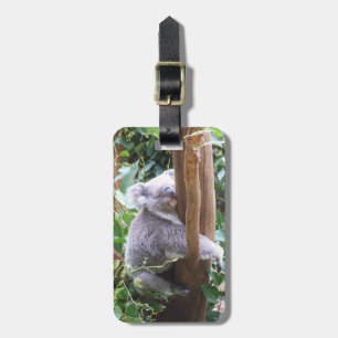 Etiqueta De Bagagem Tag da bagagem do Koala