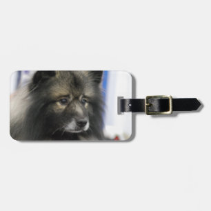 Etiqueta De Bagagem Tag da bagagem - personalizado