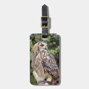 Etiqueta De Bagagem Tag da bagagem - personalizado