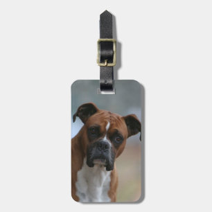Etiqueta De Bagagem Tag da bolsa/bagagem do cão do pugilista