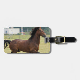 Etiqueta De Bagagem Tag de galope da bagagem do mustang