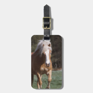 Etiqueta De Bagagem Tag de galope da bagagem do Palomino