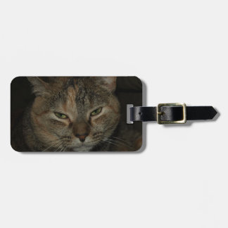Etiqueta De Bagagem Tag sonolento da bagagem do gato