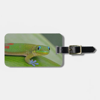 Etiqueta De Bagagem Tag verde da bagagem do taro do geco