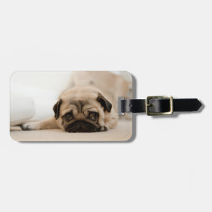 Etiqueta De Bagagem Tan Female Pug
