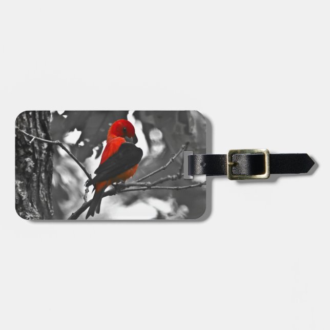 Etiqueta De Bagagem Tanager Escarlate Macho (Frente Horizontal)