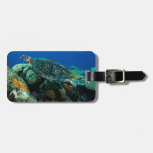 Etiqueta De Bagagem Tartaruga de mar de Hawksbill no mar coral