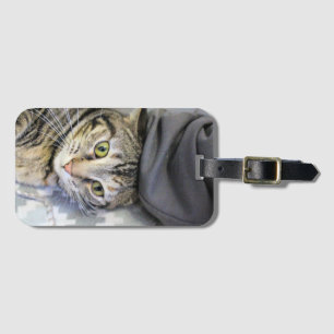 Etiqueta De Bagagem Tigre