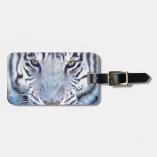 Etiqueta De Bagagem Tigre de Bengal branco