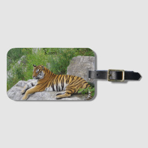 Etiqueta De Bagagem Tigre Siberiano Relaxando em uma Rocha