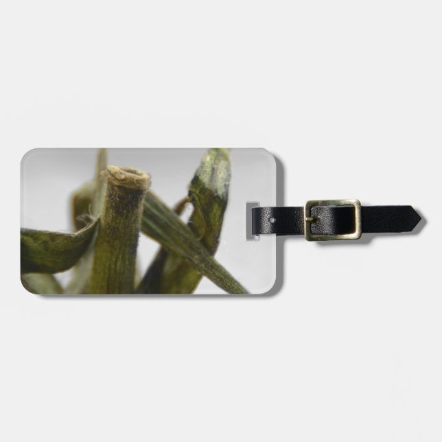 Etiqueta De Bagagem Tomate (Frente Horizontal)