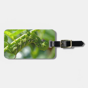 Etiqueta De Bagagem Tomato Hornworm