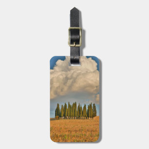 Etiqueta De Bagagem Toscana Rural Árvores de Cipreste
