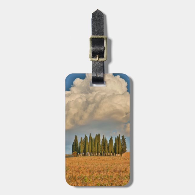 Etiqueta De Bagagem Toscana Rural Árvores de Cipreste (Frente Vertical)