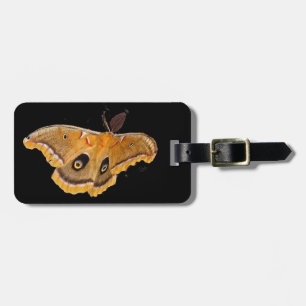 Etiqueta De Bagagem Traça de Polyphemus