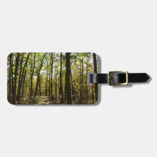 Etiqueta De Bagagem Trilha Appalachian em outubro em Shenandoah