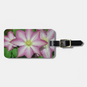 Etiqueta De Bagagem Trio de Vinha-Primavera branca e rosa-clematis