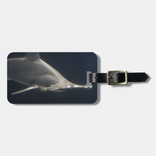 Etiqueta De Bagagem Tubarão de Hammerhead