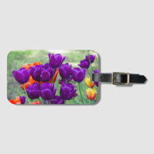 Tulipas roxas escuras num dia ensolarado no jardim