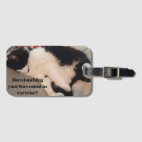 Tuxedo Cat Engraçado Cotação Preta e Branca Gatos