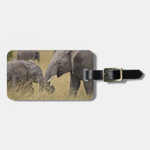 Etiqueta De Bagagem Um elefante africano pastando nos campos