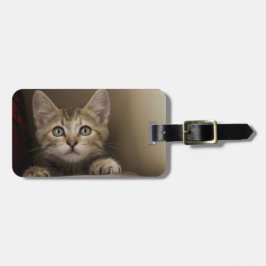 Etiqueta De Bagagem Um gatinho muito doce do gato malhado