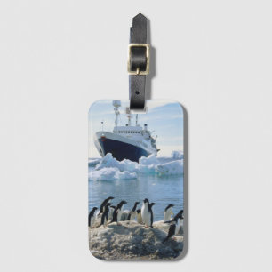 Etiqueta De Bagagem Um grupo de pinguins que estão em uma praia gelad