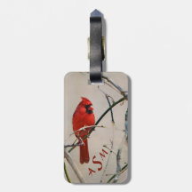 Um pássaro cardinal vermelho em um ramo nas