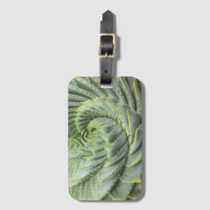 Etiqueta De Bagagem Um Succulent verde & branco
