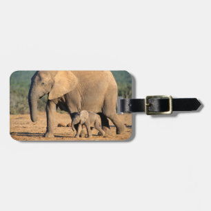 Etiqueta De Bagagem Uma mãe e cria de Elefante Africano em movimento