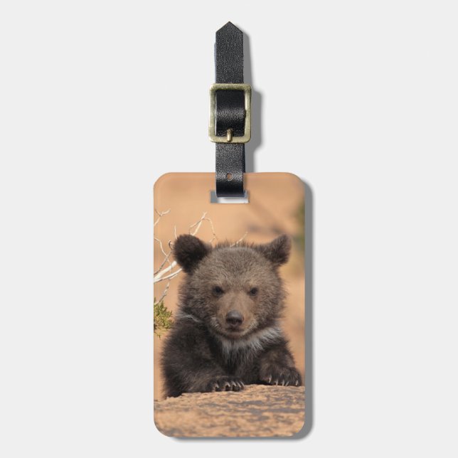 Etiqueta De Bagagem Urso Cub do urso (Frente Vertical)
