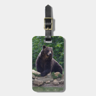 Etiqueta De Bagagem Urso de Brown