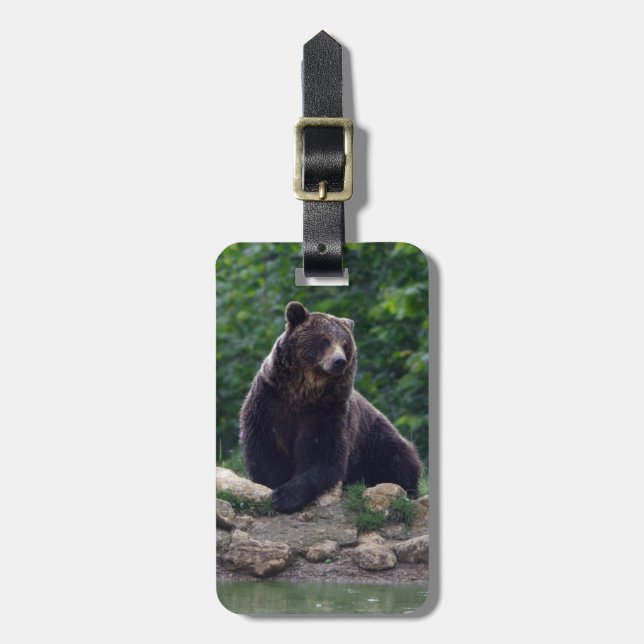 Etiqueta De Bagagem Urso de Brown (Frente Vertical)