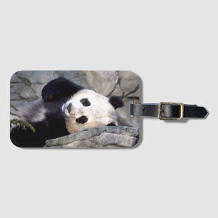 Etiqueta De Bagagem Urso de panda