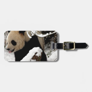 Etiqueta De Bagagem Urso de panda