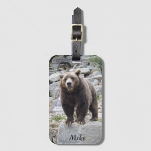 Etiqueta De Bagagem Urso Kodiak em Pé sobre uma Rocha