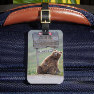 Etiqueta De Bagagem Urso Pardo Brinca Com Placa