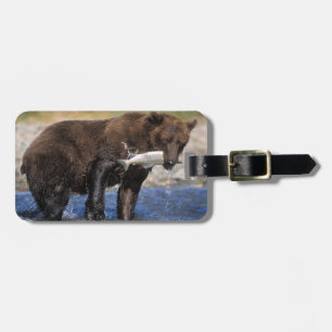 Etiqueta De Bagagem Urso pardo, urso cinzento, com captura de salmão,